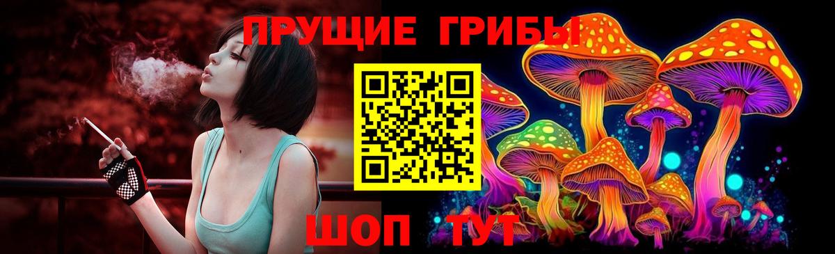 Реутов  Псилоцибиновые грибы MAGIC MUSHROOMS  Псилоцибиновые грибы Cubensis  Вход с VPN 